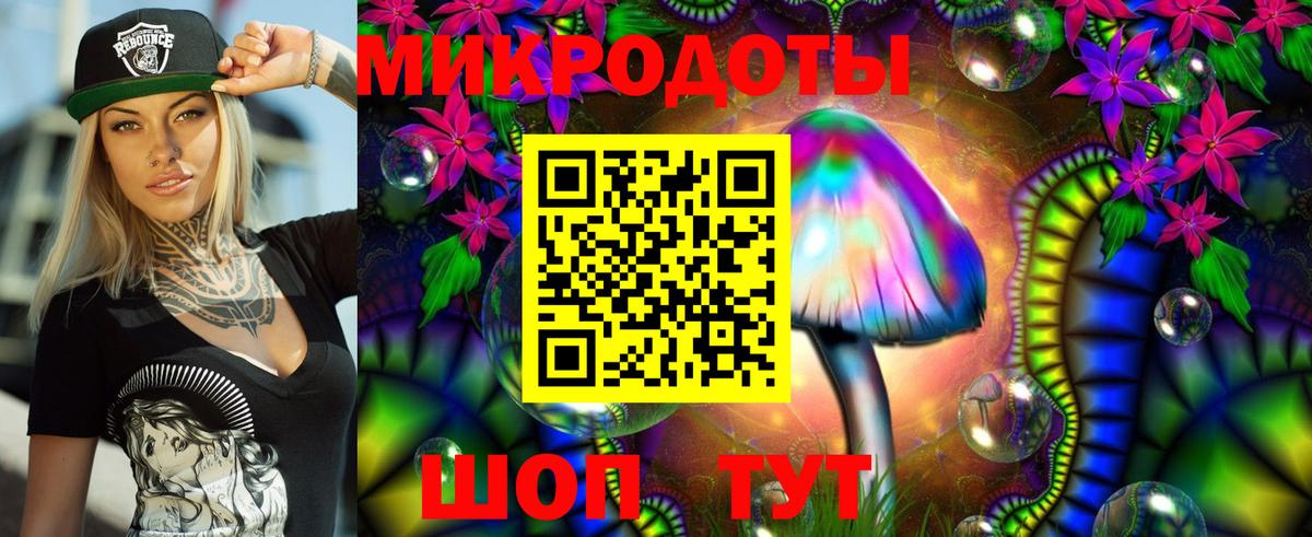 Псилоцибиновые грибы Psilocybe  Вход с VPN  закладка  Галлюциногенные грибы Psilocybe  Новотроицк 